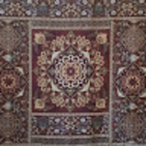 Meet your Posher, Bobbie